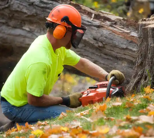 tree services Bethel